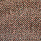 Coral Spice Beige Carpet Tile Coral Spice Beige Carpet Tile
