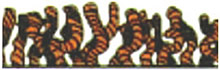 Frieze Texture Illustration Frieze Texture Illustration